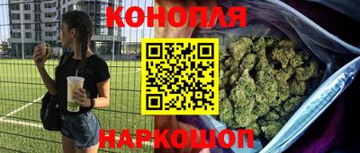 прущие грибы Канаш