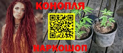 каннабис Кимры
