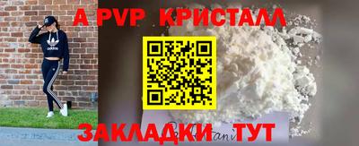 прущие грибы Канаш