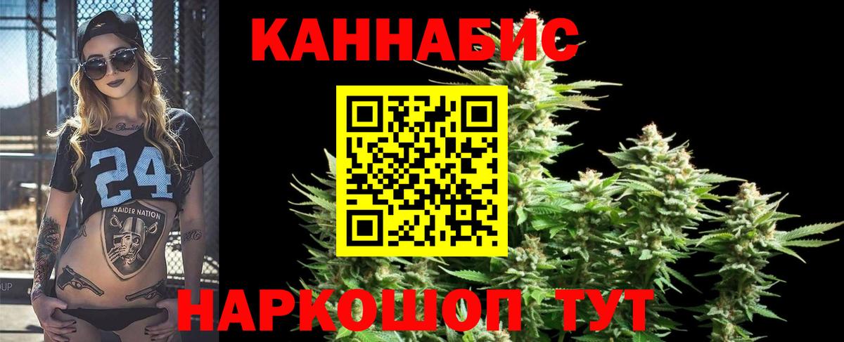 Бошки Шишки конопля  Бошки Шишки тримм  Красногорск  Вход с VPN 